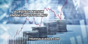 Agrotech Katılım Endeksine Uygun mu?