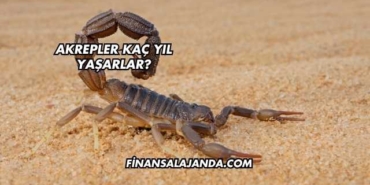 Akrepler Kaç Yıl Yaşarlar?