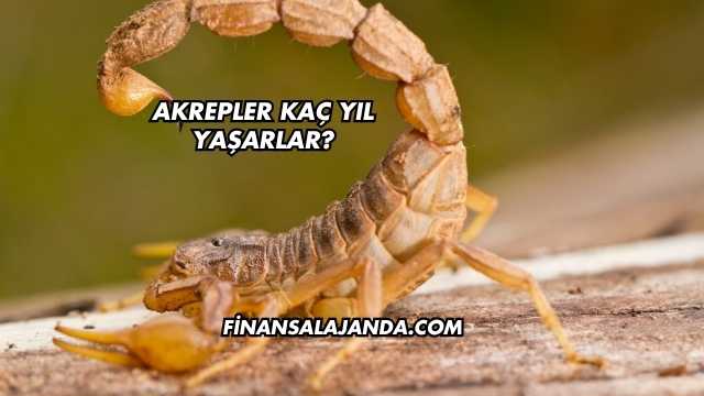 Akrepler Kaç Yıl Yaşarlar?