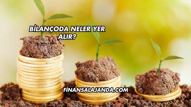 Bilançoda Neler Yer Alır?