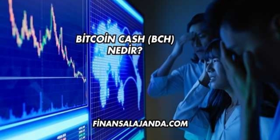 Bitcoin Cash (BCH) Nedir?