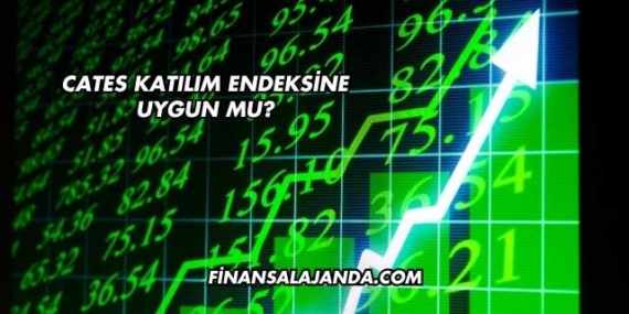 Cates Katılım Endeksine Uygun mu?