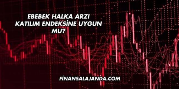 Ebebek Halka Arzı Katılım Endeksine Uygun mu?