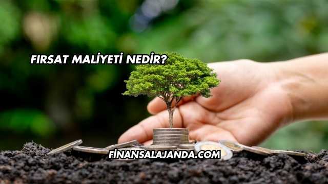 Fırsat Maliyeti Nedir?