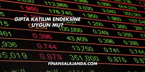 Gıpta Katılım Endeksine Uygun mu?
