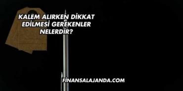 Kalem Alırken Dikkat Edilmesi Gerekenler Nelerdir?