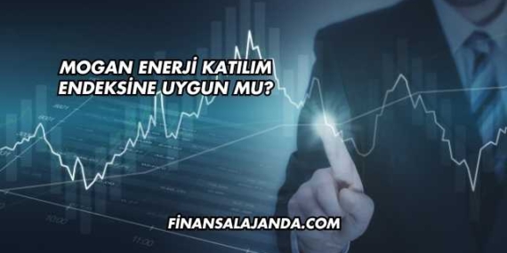 Mogan Enerji Katılım Endeksine Uygun mu?