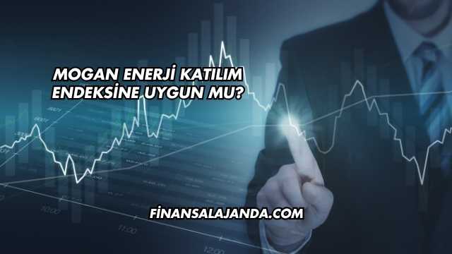 Mogan Enerji Katılım Endeksine Uygun mu?