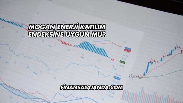 Mogan Enerji Katılım Endeksine Uygun mu?