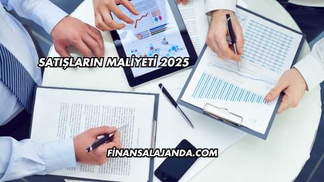 Satışların Maliyeti 2025