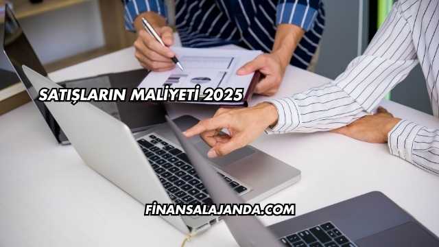 Satışların Maliyeti 2025