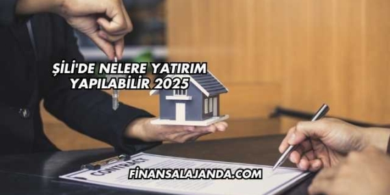 Şili’de Nelere Yatırım Yapılabilir 2025