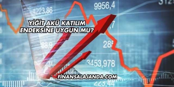 Yiğit Akü Katılım Endeksine Uygun mu?